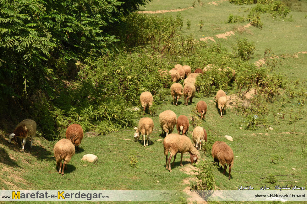 روستاهای گردشگری استان مازندران